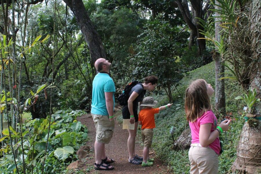 Kauai: McBryde Garden Self Guided Visit - What to bring and how to prepare