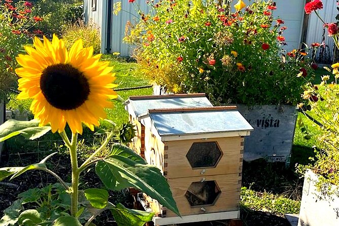 Kelowna E-Bike Bee Tour, Tastings, Organic Lunch & Audio Guide - A farm-to-table lunch at The Bistro