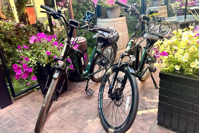Kelowna E-Bike Bee Tour, Tastings, Organic Lunch & Audio Guide - The 20-minute audio tour among the bees