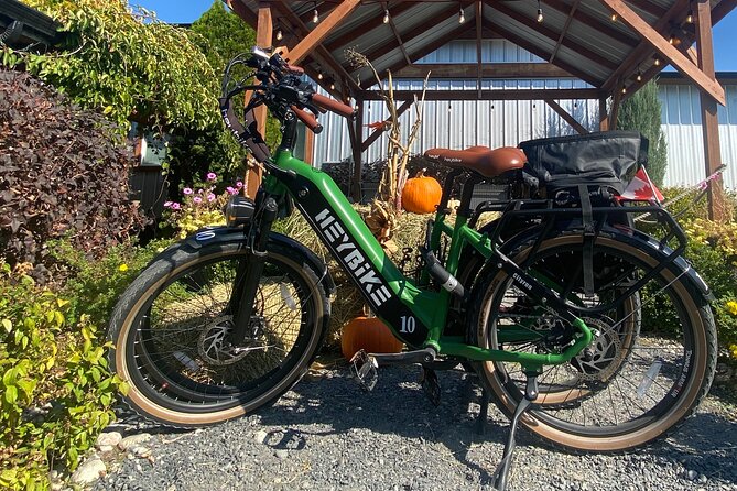 Kelowna E-Bike Bee Tour, Tastings, Organic Lunch & Audio Guide - Who will enjoy this Kelowna e-bike tour most