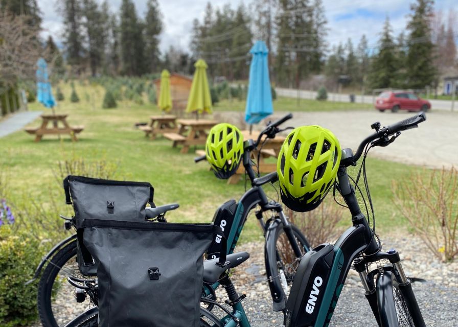 Kelowna: E-Bike Bee Tour w/ Tastings, Lunch, and Audioguide - Meeting the bees through a 20-minute audio tour