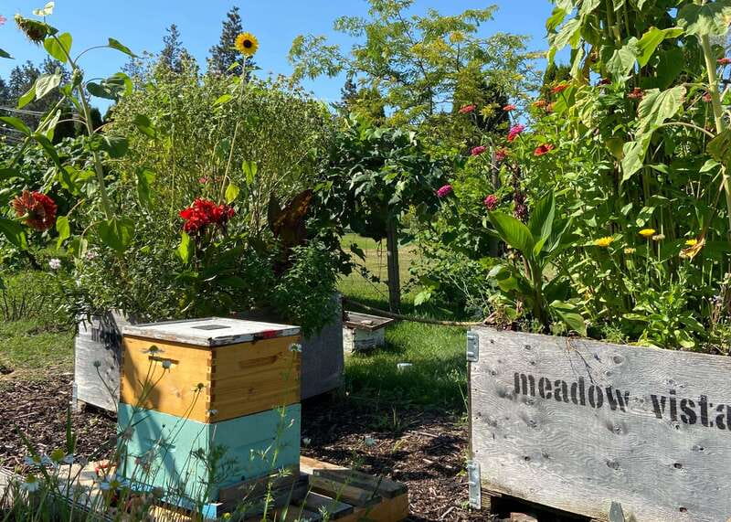 Kelowna: E-Bike Bee Tour w/ Tastings, Lunch, and Audioguide - The ride back and the technology package