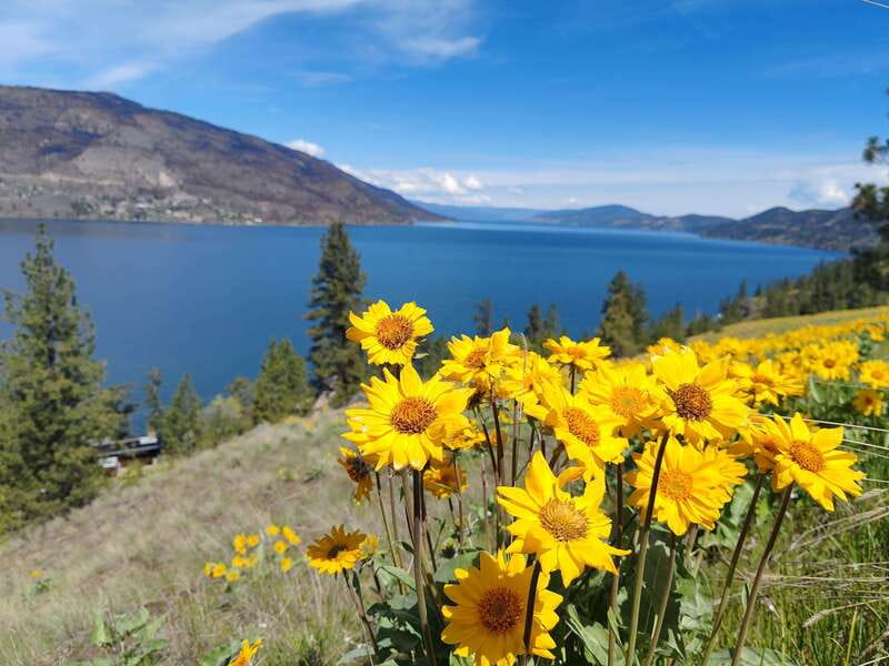 Kelowna: E-Bike Rental with In-App Navigation Guide - How good is the $34 value?