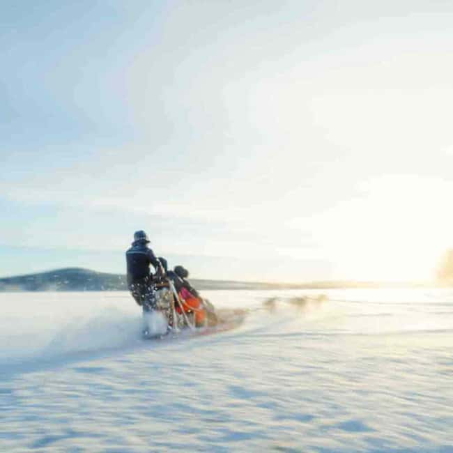 Kemijärvi: Insider Husky Self-Drive 5km Safari - A 5-kilometer husky run with your hands on the sled