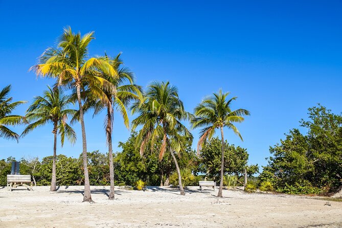 Key West and Overseas Highway Self-Guided Audio Tour - Tarpon, mangroves, and Long Key views