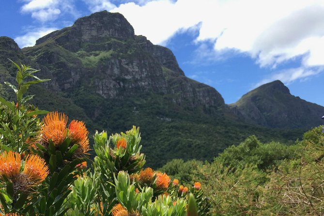 Kirstenbosch National Botanical Gardens: A Self-guided Audio Tour - What you are really buying for $5.34