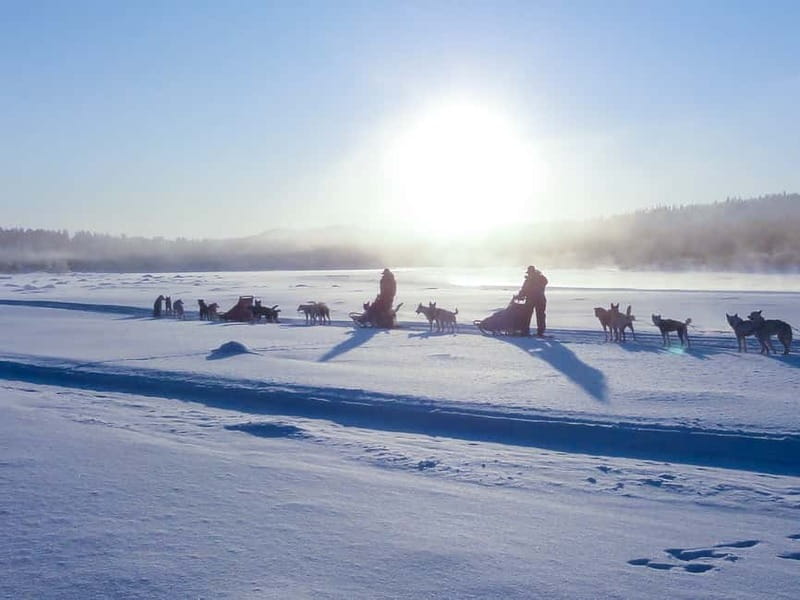 Kiruna: Self-drive Husky Morning Tour - Key points before you book