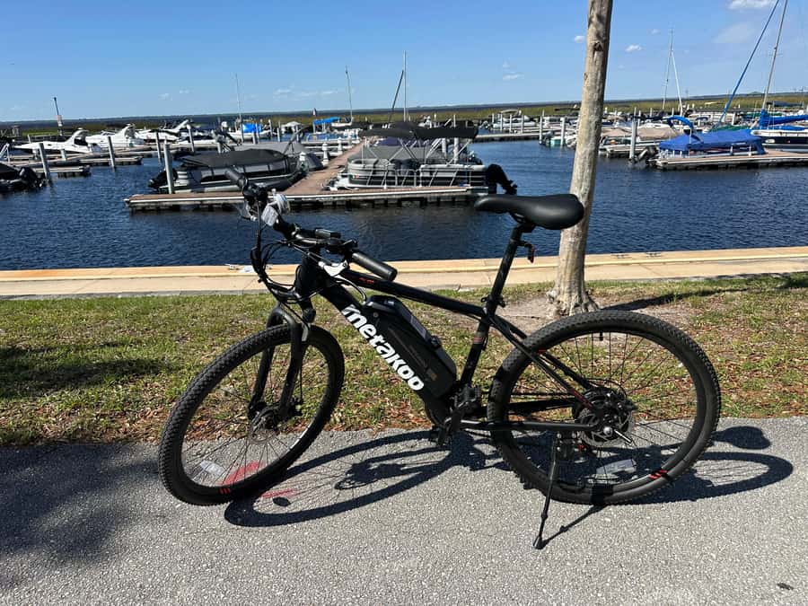 Kissimmee: Self-Guided Lakefront Tour on All Electric Bike - Who will enjoy this ride most?