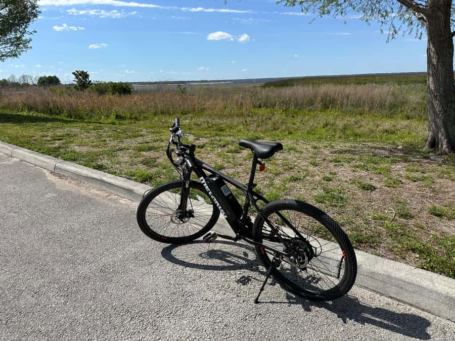 Kissimmee: Self-Guided Lakefront Tour on All Electric Bike - Practical tips for a smoother two hours