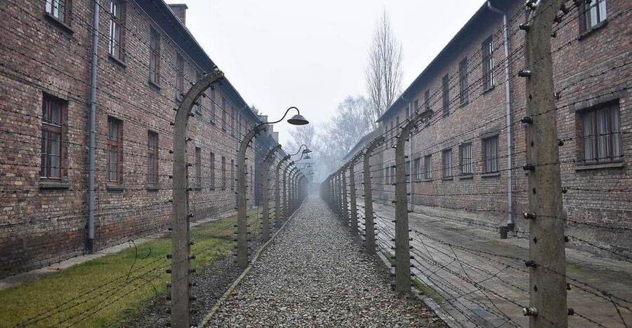 Krakow: Auschwitz-Birkenau Guided Tour or Self-Guided Tour - Who should book this Auschwitz day trip?