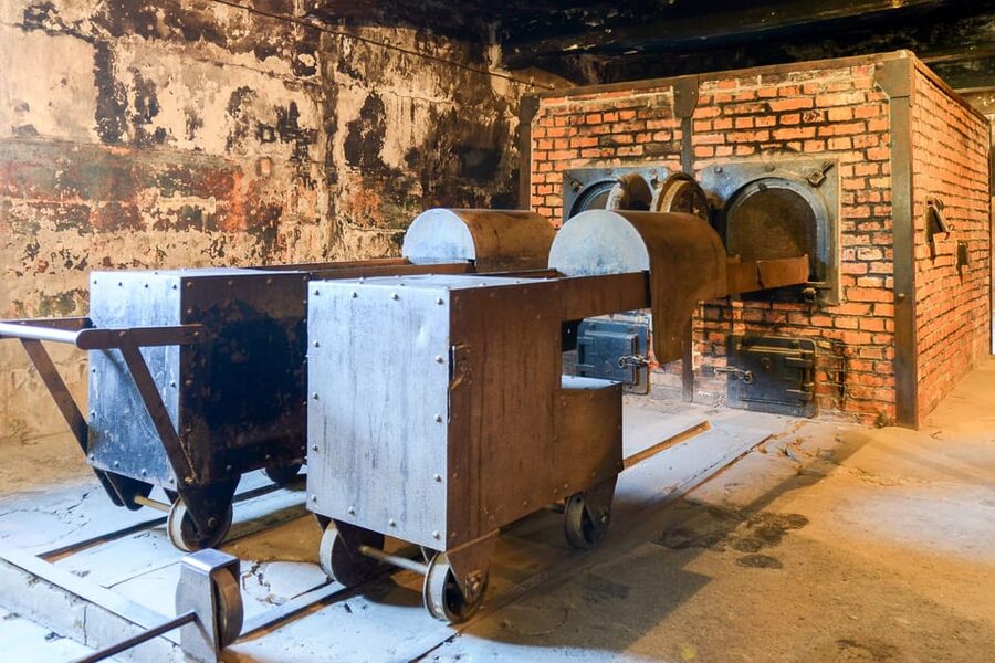 Krakow: Auschwitz-Birkenau Guided Tour or Self-Guided Tour - Waiting, schedule changes, and the real cost of convenience