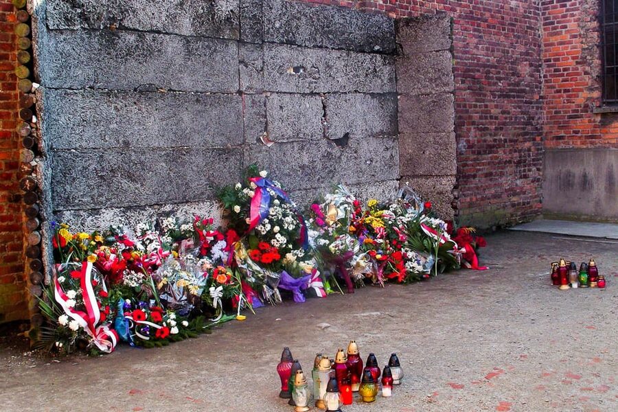 Krakow: Auschwitz-Birkenau Guided Tour or Self-Guided Tour - What to bring and how to handle the day