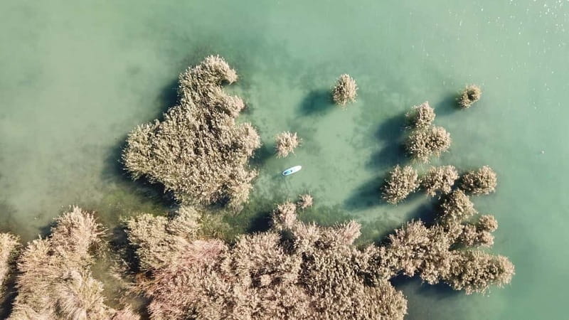 Lake Balaton 3 hour SUP tour - self-guided - A self-guided outing, not a first lesson