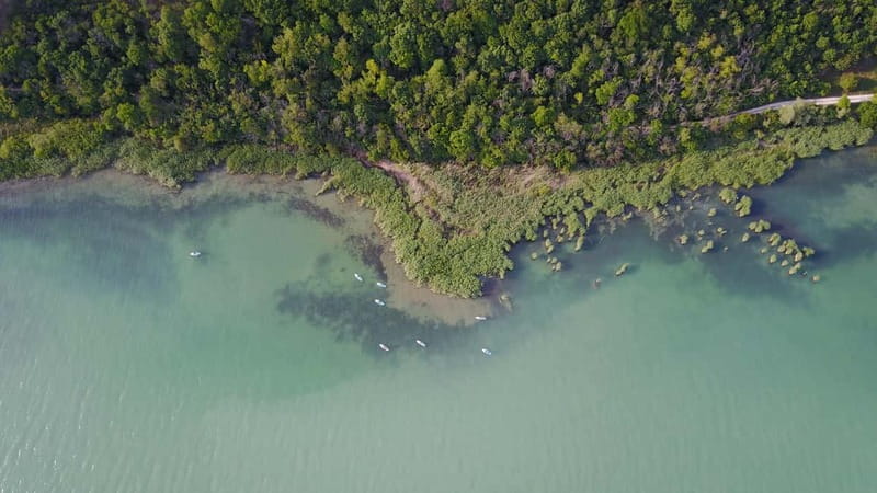 Lake Balaton 3 hour SUP tour - self-guided - Should you book the Tihany SUP tour?