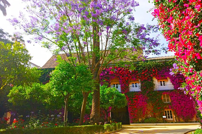 "Las Dueñas" Palace ticket + Audioguide - Who should book Las Dueñas?