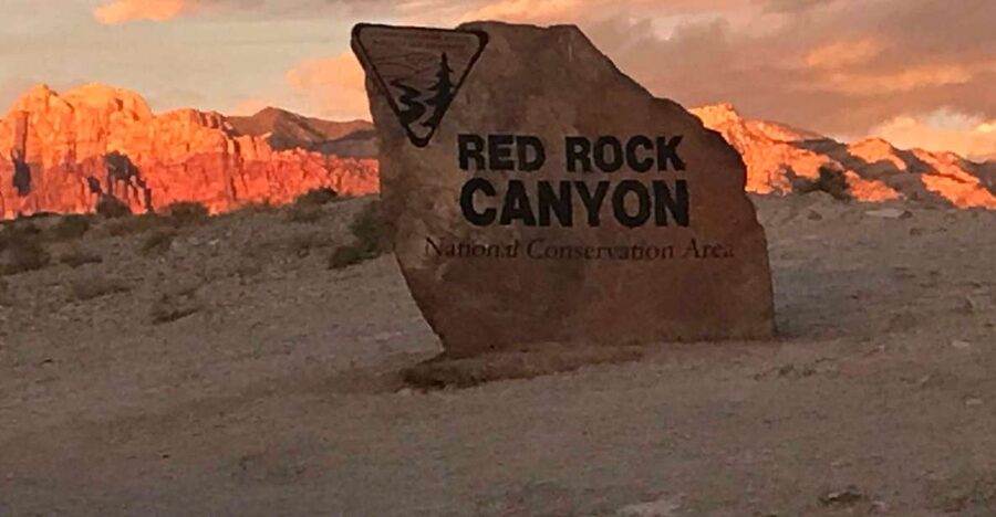 Las Vegas: Red Rock Canyon Sunrise Self-Guided E–Bike Tour - Wildlife and geology along the route