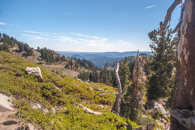 Lassen Volcanic National Park Self-Guided Audio Driving Tour - Lassen Peak and Kings Creek