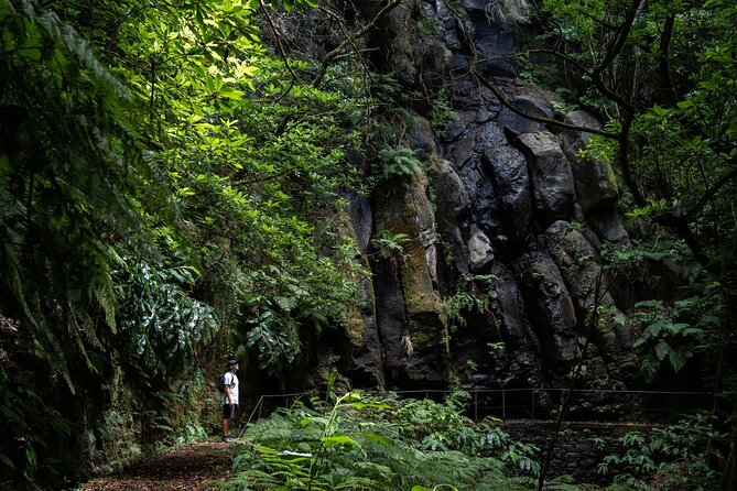 Levada do Caldeirão Verde Self-Guided Hike in Madeira - Key points to know before booking