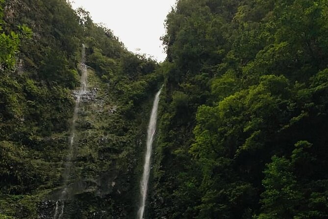 Levada do Caldeirão Verde Self-Guided Hike in Madeira - Five hours beside the levada