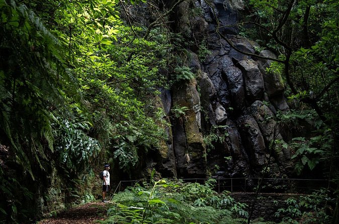 Levada do Caldeirão Verde Self-Guided Hike in Madeira - What self-guided really means here