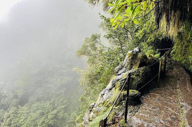 Levada do Caldeirão Verde Self-Guided Hike in Madeira - Price and what the 48.27 dollars buys you