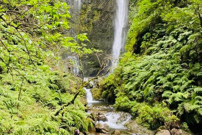 Levada do Caldeirão Verde Self-Guided Hike in Madeira - Fitness, footing, and who should skip it