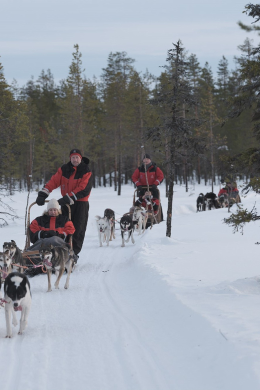 Levi: Husky Adventure Self-Drive Safari 15km - A 15-minute briefing that earns its keep