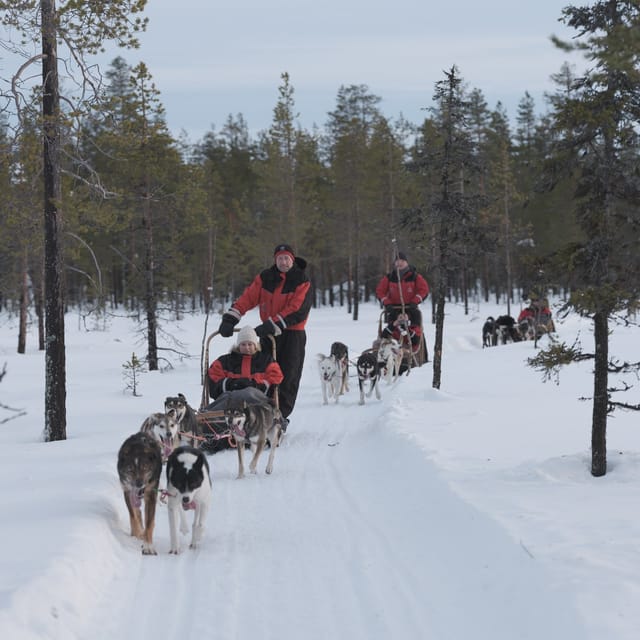 Levi: Husky Adventure Self-Drive Safari 15km - The short transfer from Hissitie 11