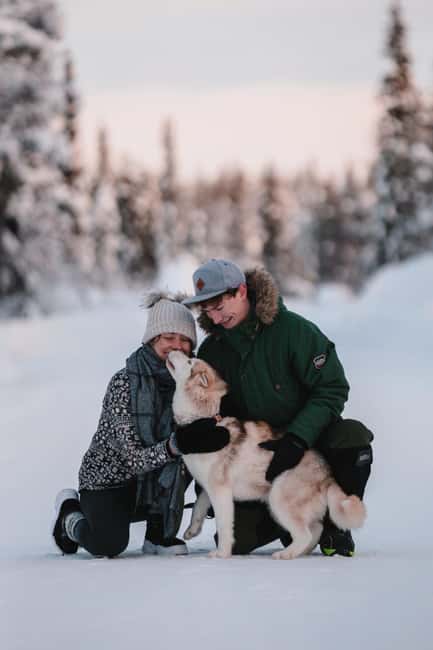 Levi: Self-Drive 2 KM Husky Sledding Experience - Meeting the huskies 15 kilometers from Levi