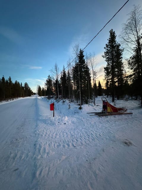 Levi: Self-Drive 2 KM Husky Sledding Experience - Who will enjoy this husky experience most?