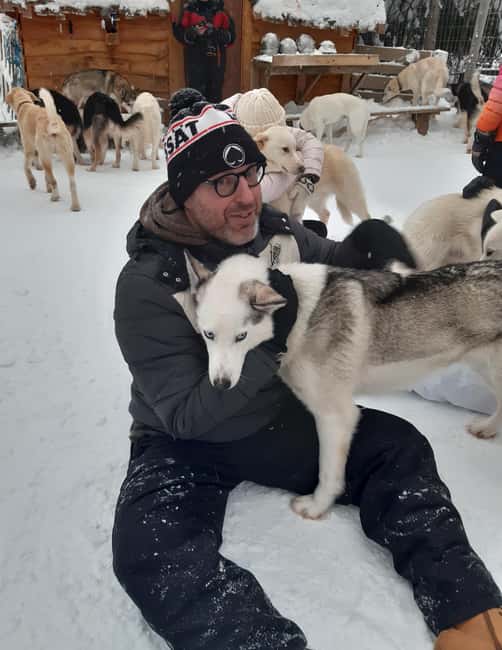 Levi: Self-Drive 2 KM Husky Sledding Experience - What the 2 km husky safari feels like