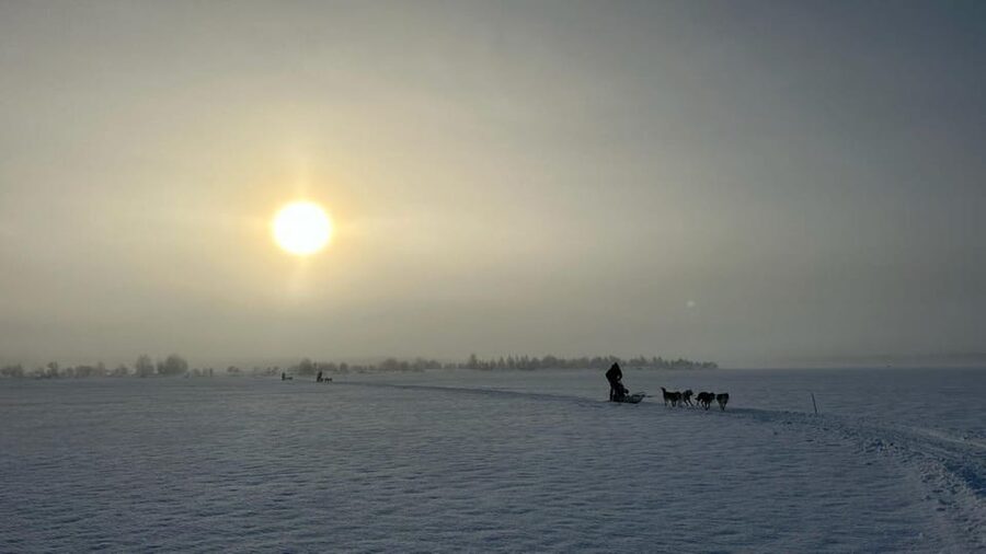 Levi: Self-Drive 5 KM Husky Sledding Experience - What the 5 Kilometre Route Feels Like