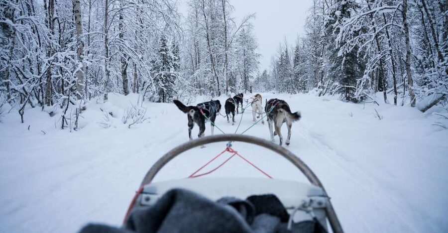 Levi: Self-Drive Guided Husky Tour - Meeting the Alaskan huskies