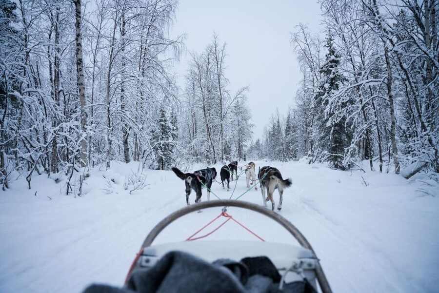 Levi: Self-Drive Guided Husky Tour - Hot juice, snacks, and a warm finish