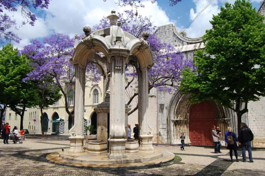 Lisbon: City Audio Guide with 24-Hour Transportation Pass - Using the funiculars and Santa Justa Lift
