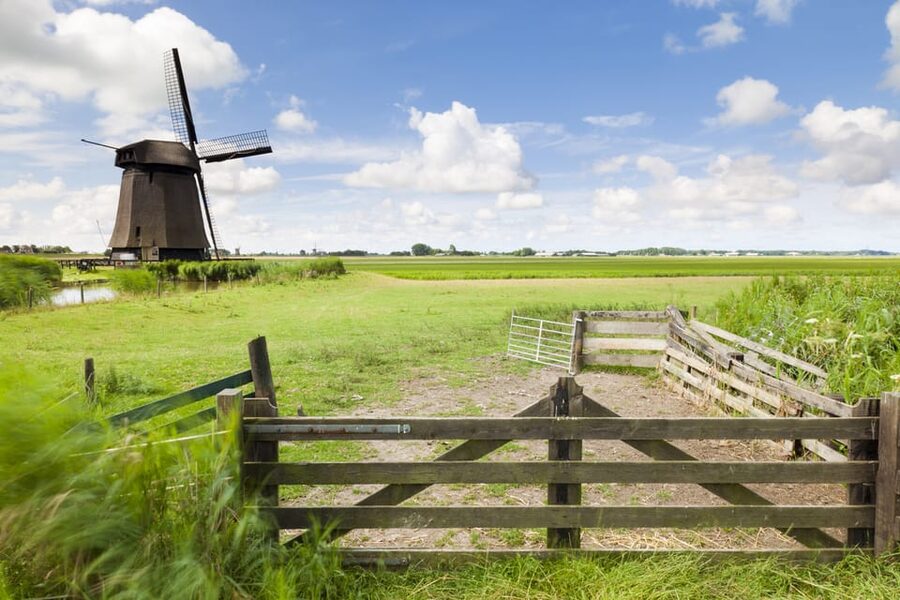 Lisse: Drive-it-Yourself Dutch Countryside GPS Audio Tour - Is $70 per person good value?