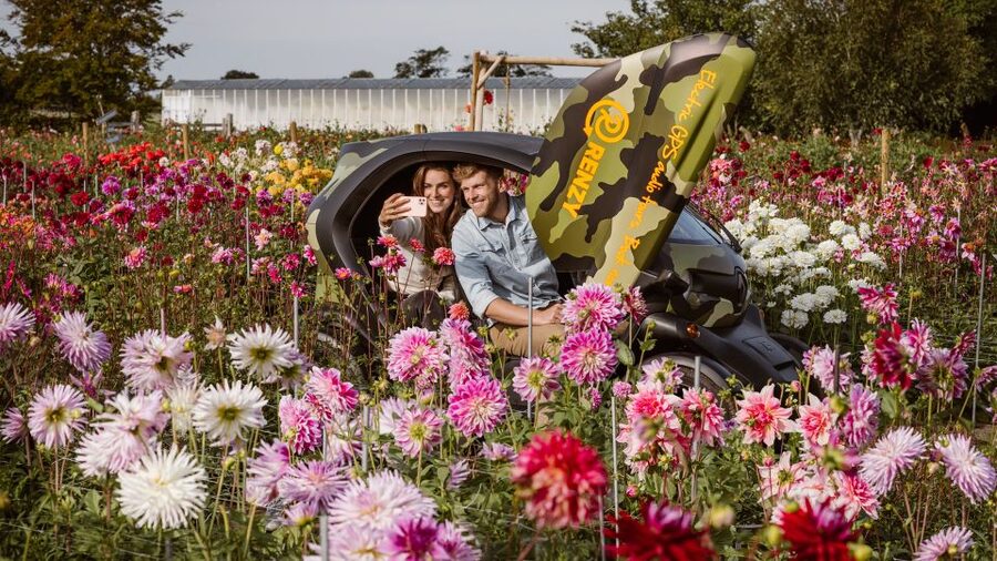 Lisse: Drive-it-Yourself Summer Flower GPS Audio Tour - Key points at a glance