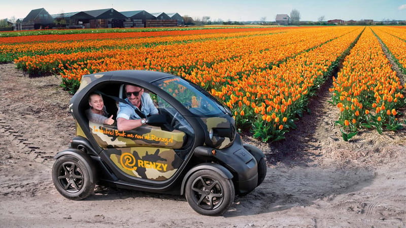 Lisse: Self-Guided Tulip Fields GPS Audio Tour - What You Hear Along the Way