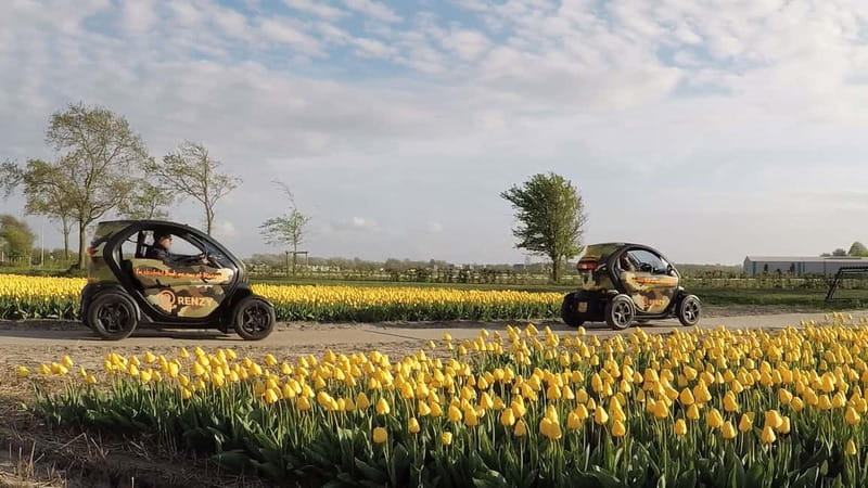 Lisse: Self-Guided Tulip Fields GPS Audio Tour - The 20-Kilometer Route Through Flower Country