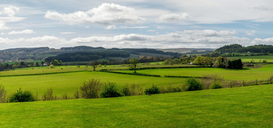 Loch Lomond & Trossachs National Park Drive Tour with an App - Lake of Menteith and Inchmahome’s medieval setting