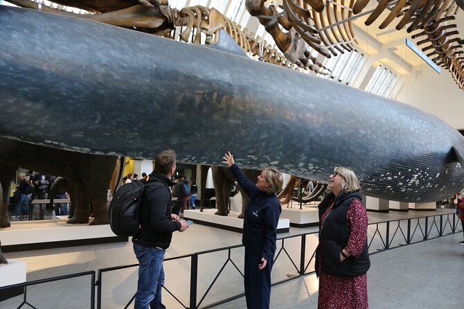 London: Natural History Museum Express Guided Tour & Audio Guide - What the experience does not include
