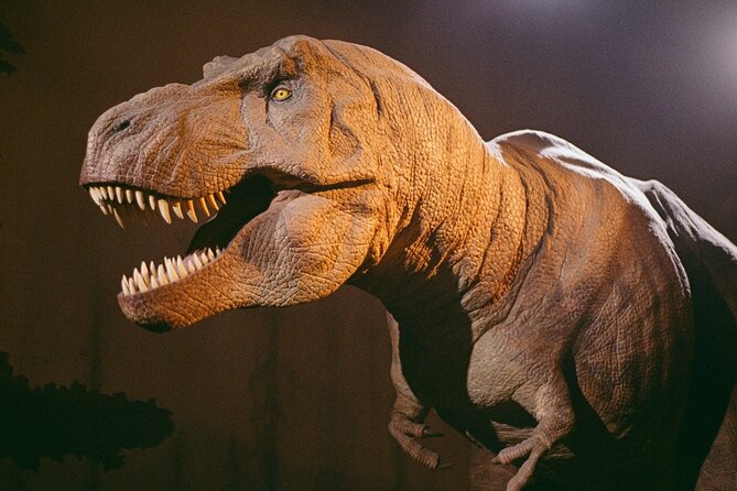 London: Natural History Museum Express Guided Tour & Audio Guide - Cancellation and planning details