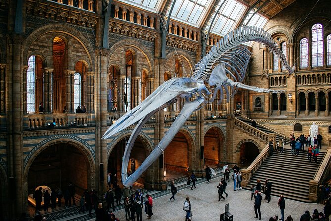 London: Natural History Museum Express Guided Tour & Audio Guide - Dinosaurs, the blue whale, and the museum’s big draws