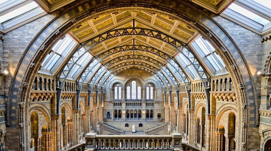 London: Natural History Museum Express Tour & Audio App - Audio app strengths and weak spots