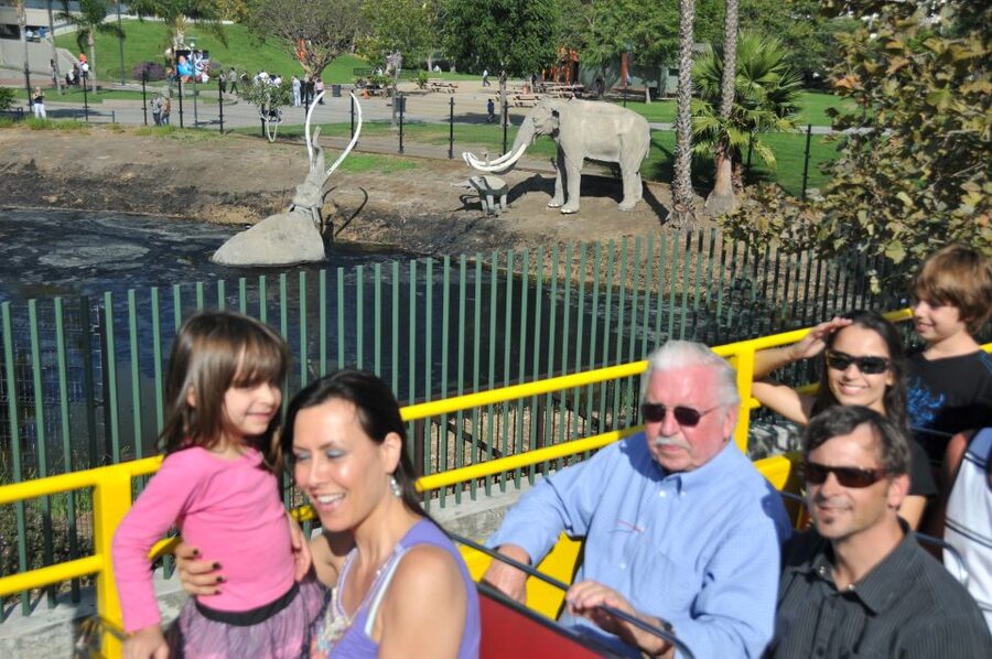 Los Angeles: Hop-On Hop-Off Bus Tour with Audio Guide - What the Los Angeles bus tour is really good at