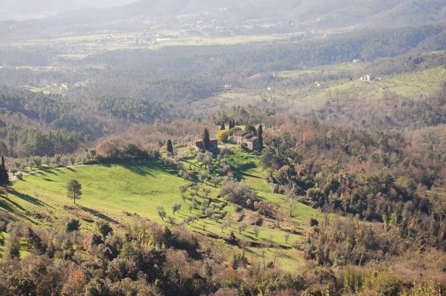 Lucca: Self-Guided Bike Tour to the Wine Roads - Key points at a glance