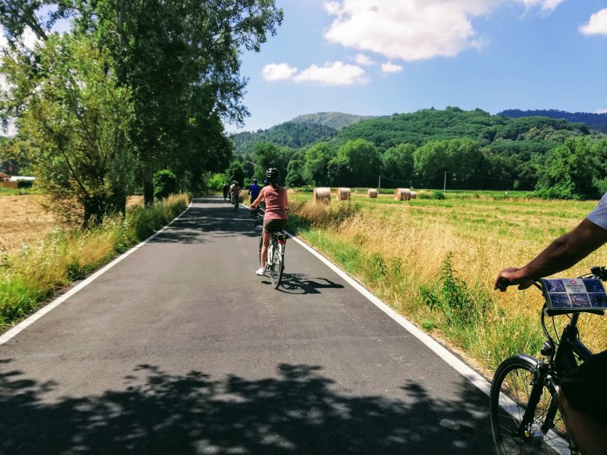 Lucca: Self-Guided Bike Tour to the Wine Roads - Wine roads, olive groves, and family farms