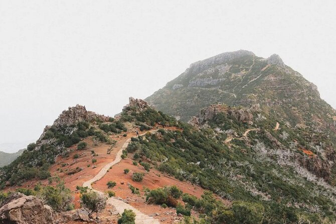 Madeira: Sunrise at Pico do Arieiro & Hike Larano trail - Who should book this Madeira hike?