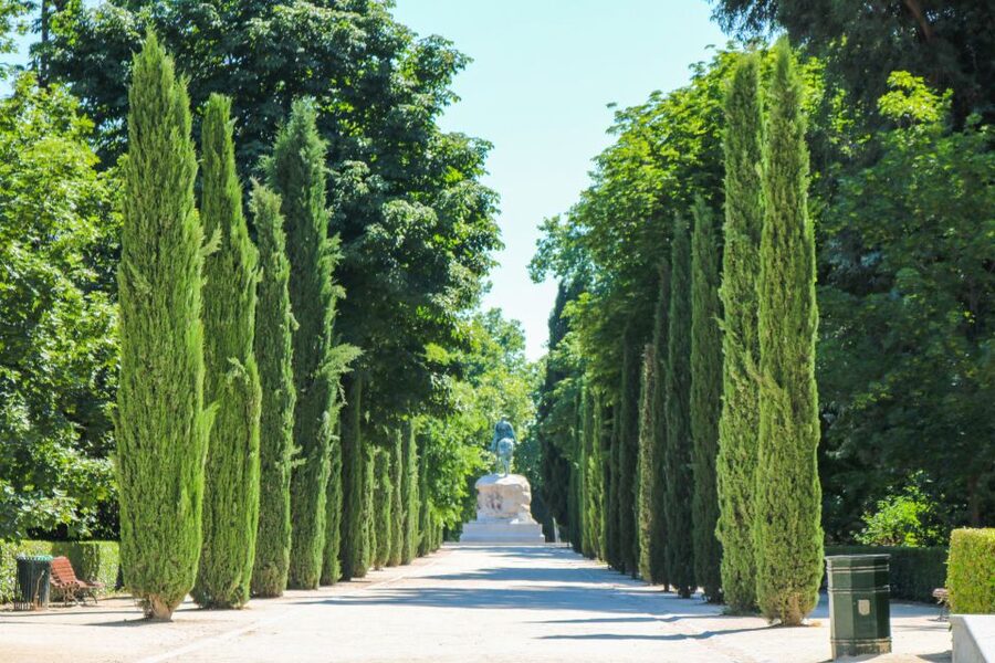 Madrid: El Retiro Park Self-Guided Audio Tour - The Crystal Palace as the visual high point