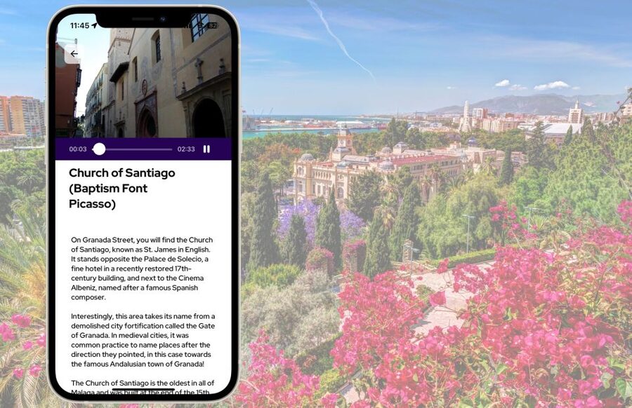 Málaga: Picasso Birthplace Museum Ticket & City Audio Guide - What you see inside the Picasso Birthplace Museum